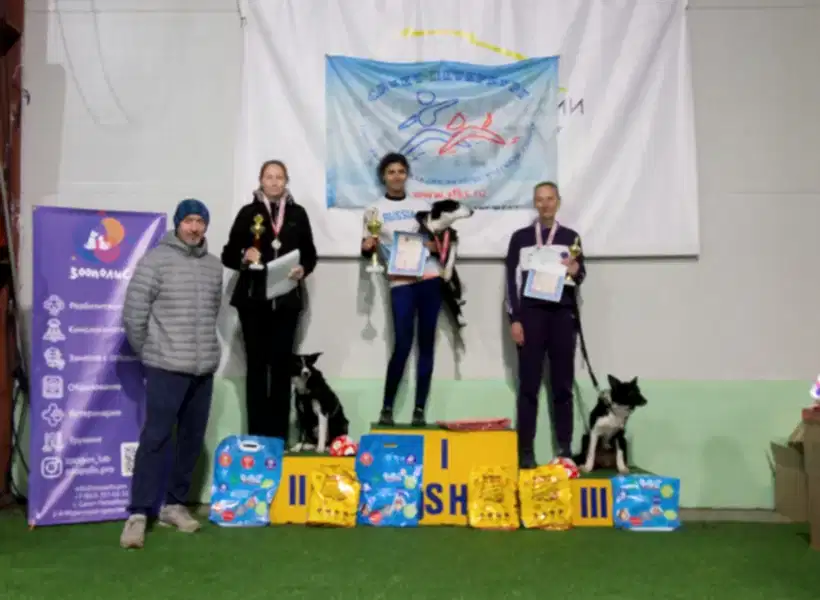 Победители Кубка СПб по аджилити 2021 в категории Профи (Медиум)